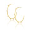 Aster Hoops