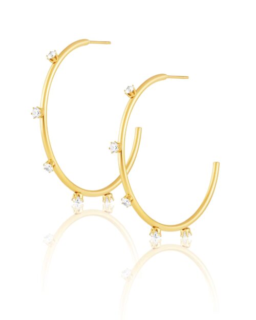 Aster Hoops