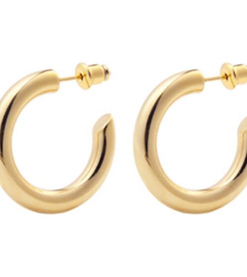 Anya Mini Hoop