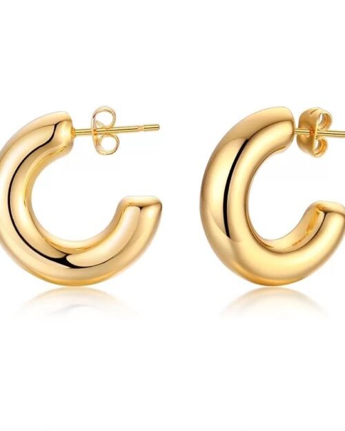 Chloe Mini Hoop