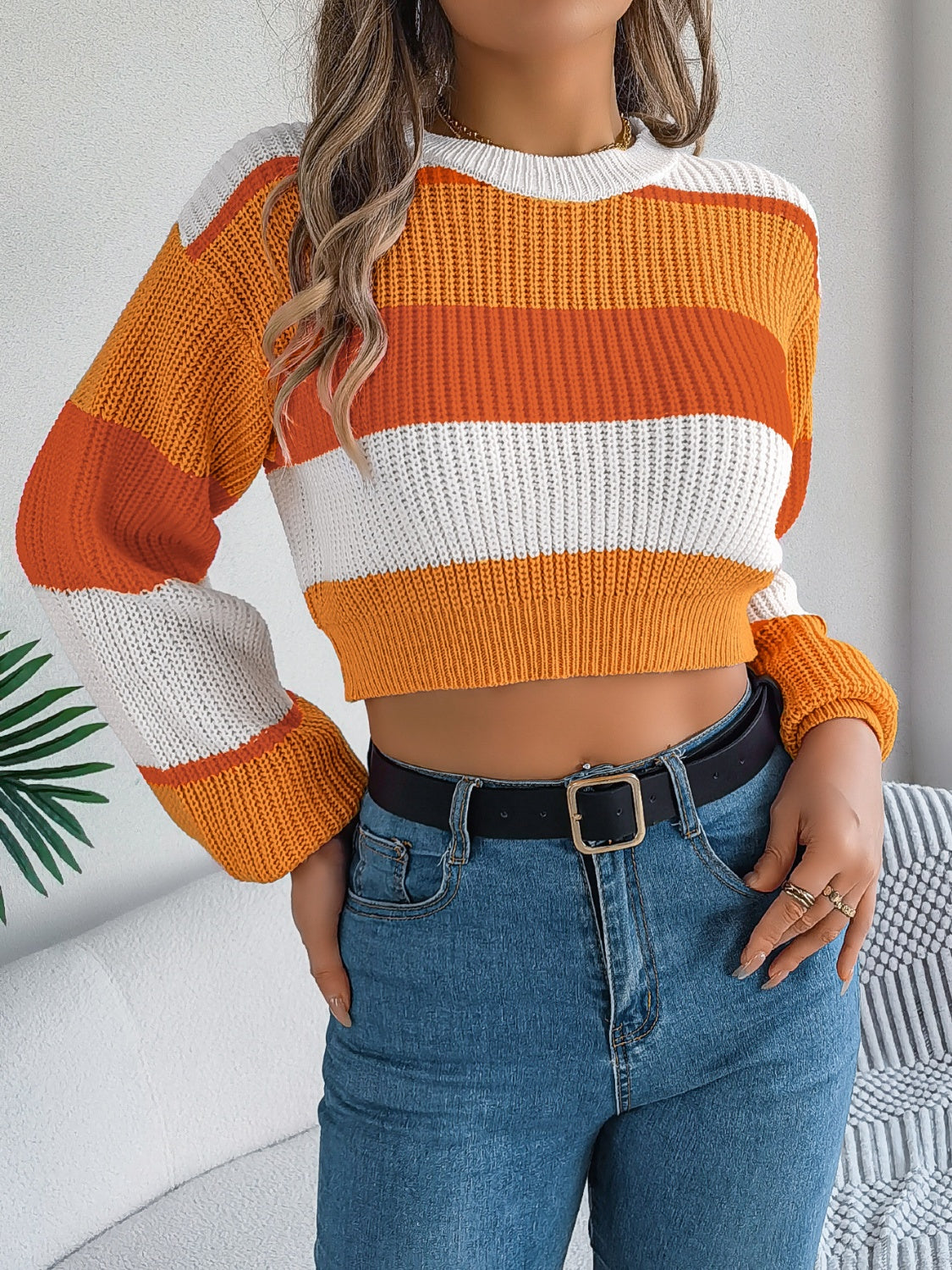 Color Block Round Neck Cropped Sweater - Image 5
